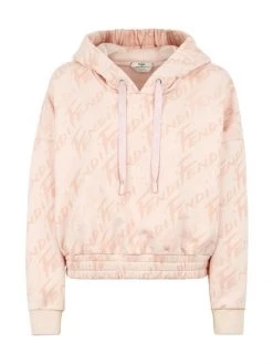 Fendi Brush Logo Pullover Hoodie